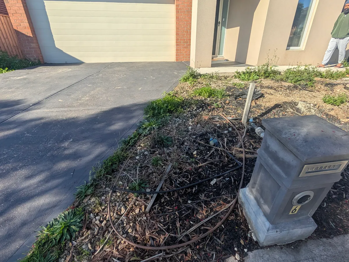 Before: neglected garden bed with exposed irrigation line beside the driveway