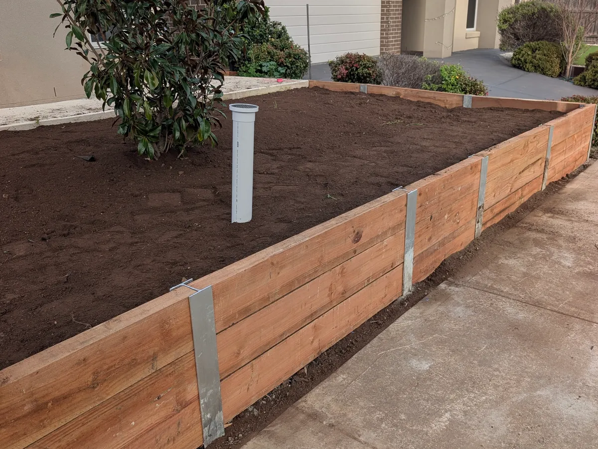 During construction: sleeper wall built around the retained magnolia tree